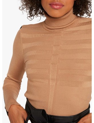 Pull col roulé moulant | Marron